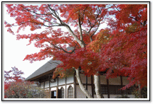 円覚寺