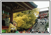 鶴岡八幡宮