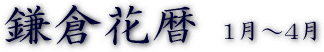 鎌倉花暦1月〜4月