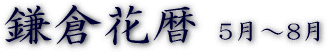 鎌倉花暦5月〜8月