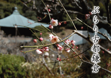 ぶらり古都鎌倉